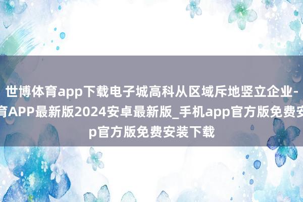 世博体育app下载电子城高科从区域斥地竖立企业-世博体育APP最新版2024安卓最新版_手机app官方版免费安装下载