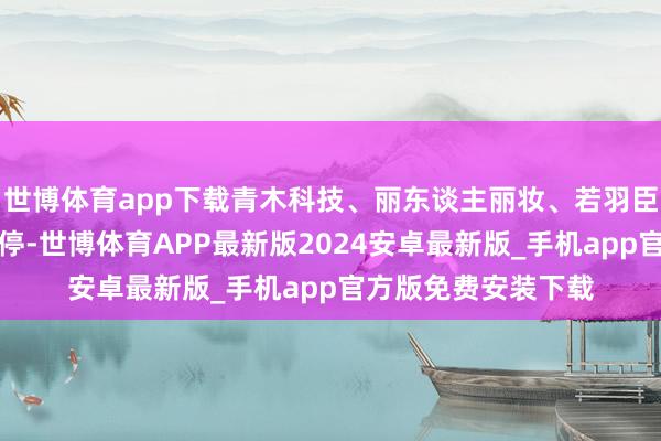 世博体育app下载青木科技、丽东谈主丽妆、若羽臣、跨境通等多股涨停-世博体育APP最新版2024安卓最新版_手机app官方版免费安装下载