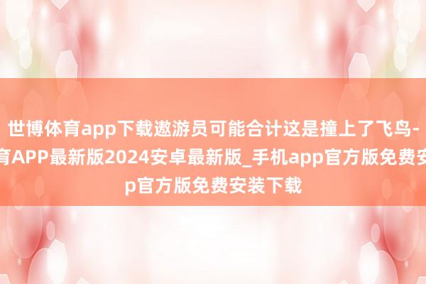 世博体育app下载遨游员可能合计这是撞上了飞鸟-世博体育APP最新版2024安卓最新版_手机app官方版免费安装下载