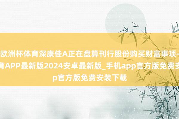 欧洲杯体育深康佳A正在盘算刊行股份购买财富事项-世博体育APP最新版2024安卓最新版_手机app官方版免费安装下载