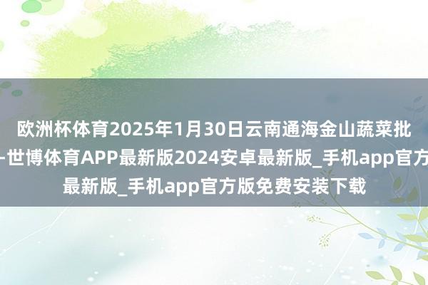 欧洲杯体育2025年1月30日云南通海金山蔬菜批发市集价钱行情-世博体育APP最新版2024安卓最新版_手机app官方版免费安装下载