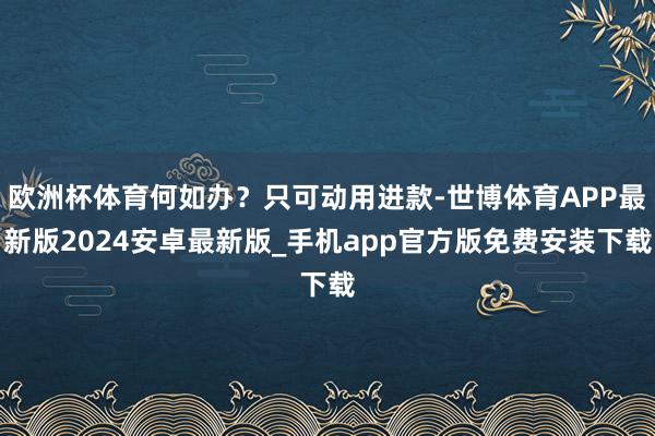 欧洲杯体育何如办？只可动用进款-世博体育APP最新版2024安卓最新版_手机app官方版免费安装下载