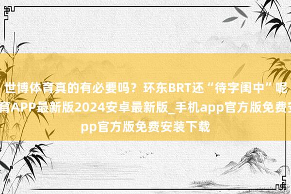 世博体育真的有必要吗？环东BRT还“待字闺中”呢-世博体育APP最新版2024安卓最新版_手机app官方版免费安装下载